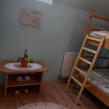 Homestay Edelweiss Ilinca *