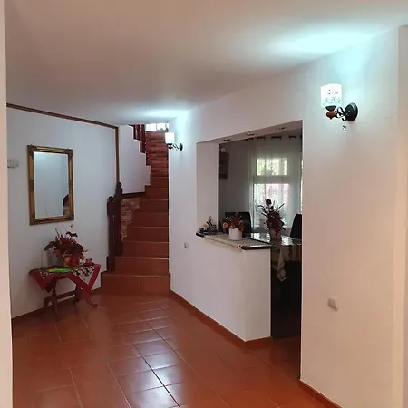 Homestay Edelweiss Ilinca Zarnesti