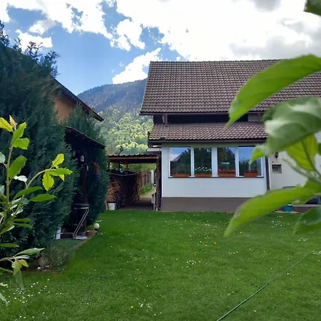 Homestay Edelweiss Ilinca